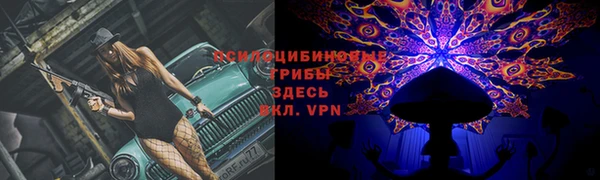 MDMA Premium VHQ Аркадак