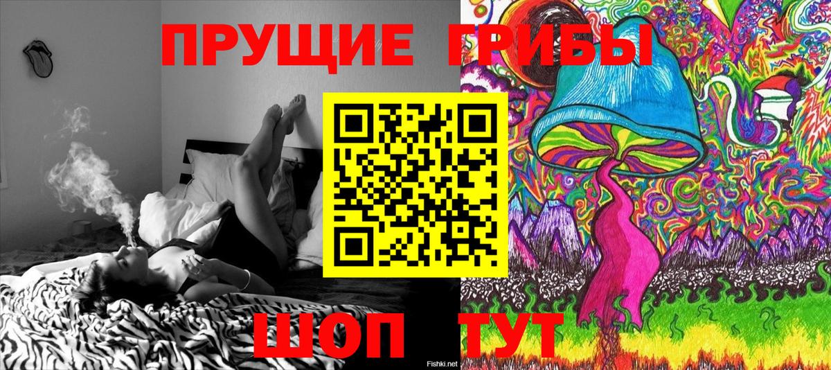 Псилоцибиновые грибы ЛСД  Вход с VPN  Дедовск  Псилоцибиновые грибы прущие грибы 