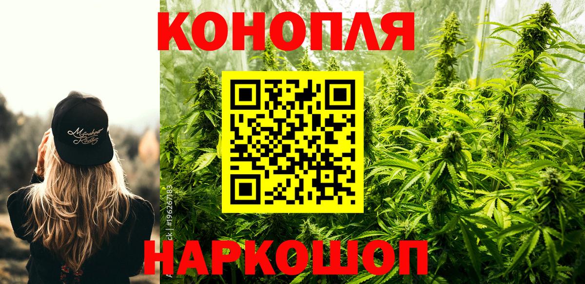 МАРИХУАНА сатива Дедовск